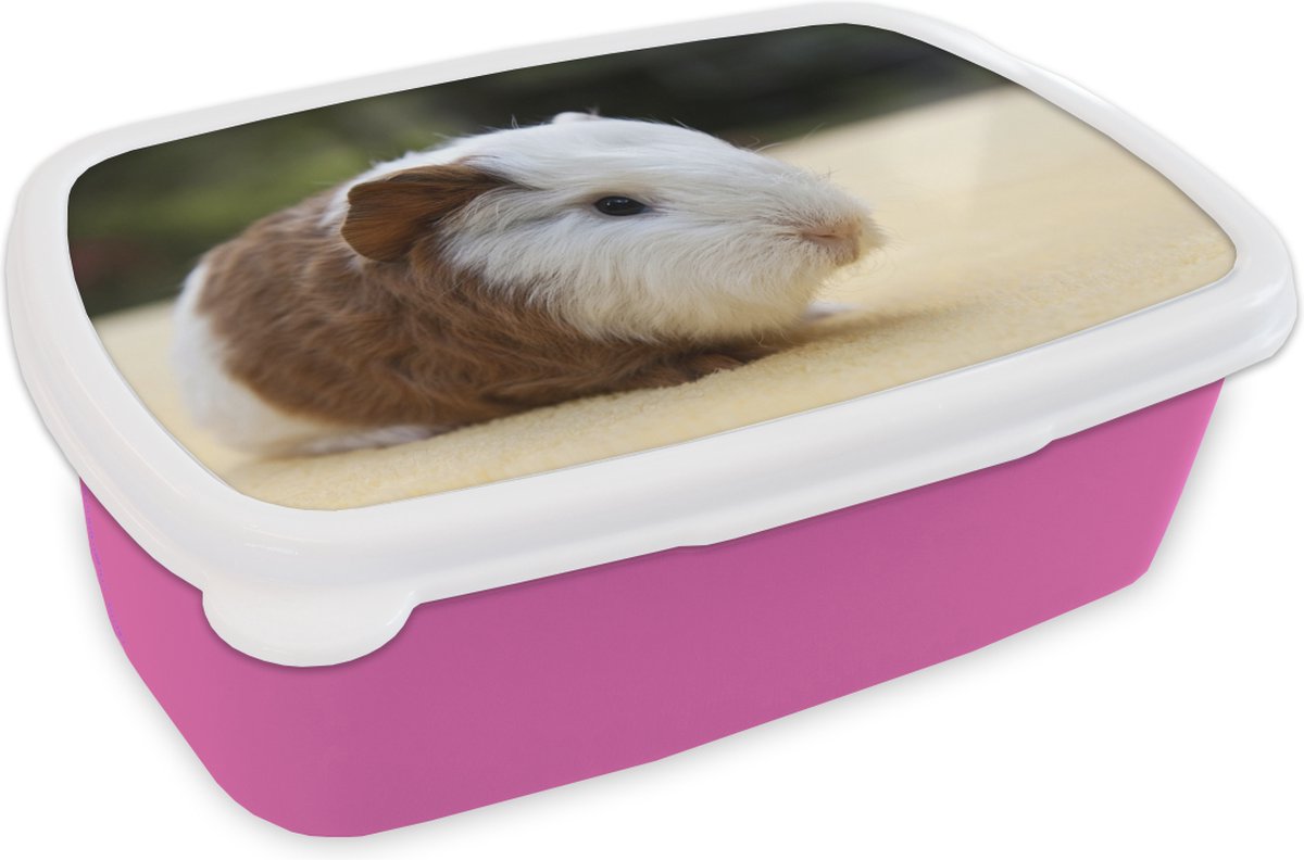 Broodtrommel Roze - Lunchbox - Brooddoos - Jonge cavia - 18x12x6 cm - Kinderen - Meisje