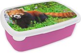 Broodtrommel Roze - Lunchbox - Brooddoos - Rode Panda - Groen - Gras - 18x12x6 cm - Kinderen - Meisje