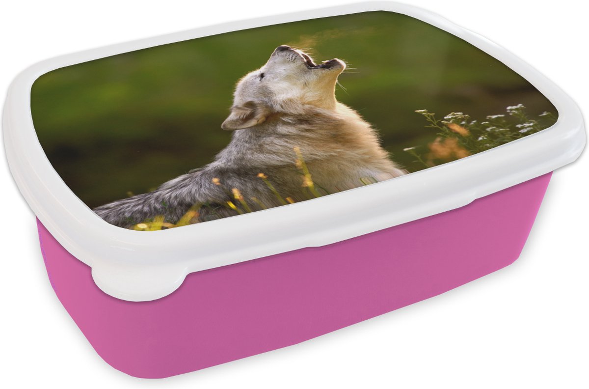Broodtrommel Roze - Lunchbox - Brooddoos - Wolf - Bos - Natuur - 18x12x6 cm - Kinderen - Meisje