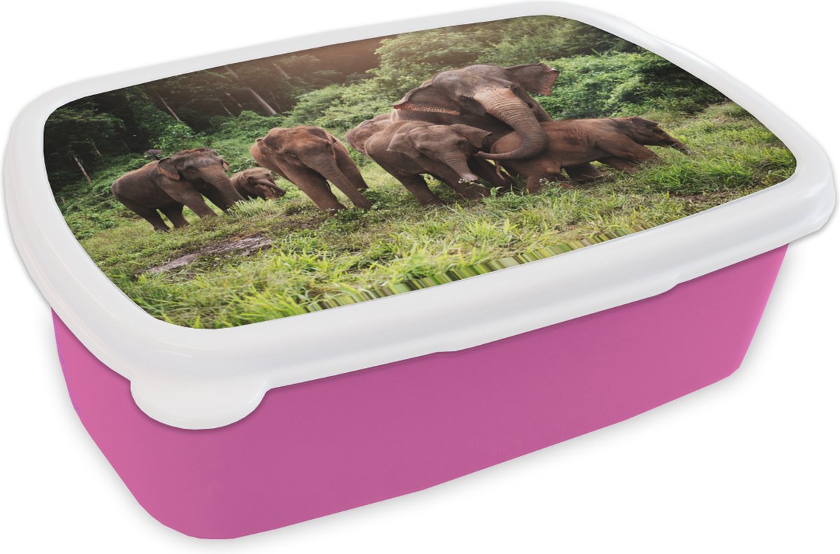 Broodtrommel Roze - Lunchbox - Brooddoos - Olifanten uit het bos - 18x12x6 cm - Kinderen - Meisje