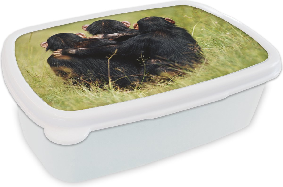 Broodtrommel Wit - Lunchbox - Brooddoos - Aap - Gras - Dieren - 18x12x6 cm - Volwassenen