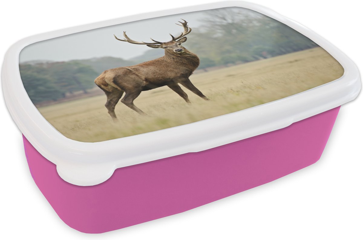 Broodtrommel Roze - Lunchbox - Brooddoos - Hert - Dieren - Gewei - 18x12x6 cm - Kinderen - Meisje