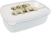 Broodtrommel Wit - Lunchbox Drie labrador puppy's - Brooddoos 18x12x6 cm - Brood lunch box - Broodtrommels voor kinderen en volwassenen