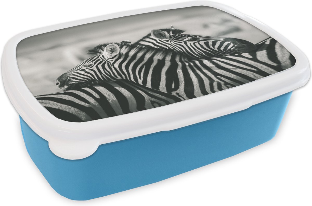 Broodtrommel Blauw - Lunchbox - Brooddoos - Knuffelende zebra's - 18x12x6 cm - Kinderen - Jongen