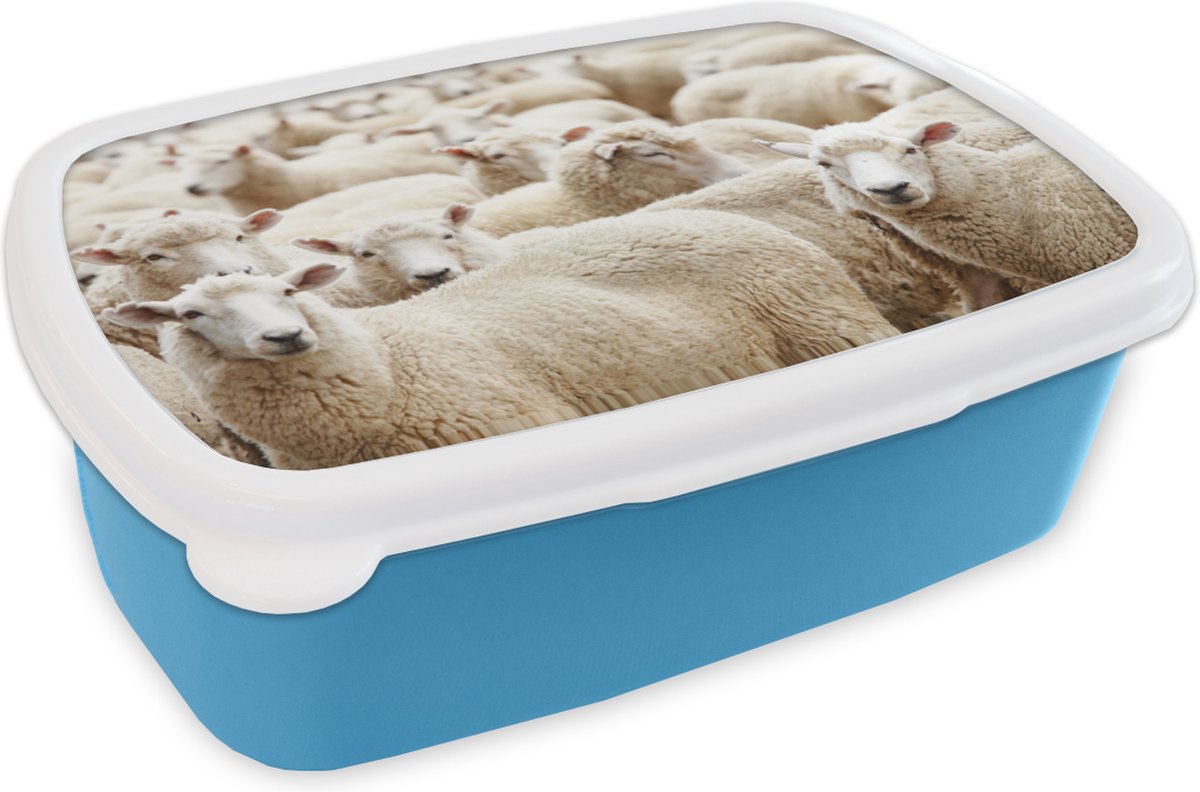 Broodtrommel Blauw - Lunchbox - Brooddoos - Schapen - Wol - Wit - 18x12x6 cm - Kinderen - Jongen