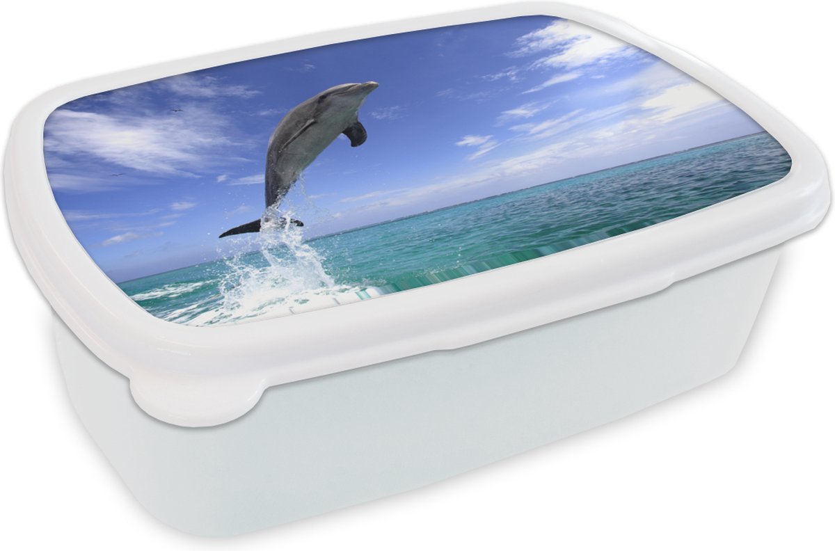 Broodtrommel Wit - Lunchbox - Brooddoos - Dolfijn - Zee - Lucht - 18x12x6 cm - Volwassenen