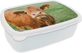 Broodtrommel Wit - Lunchbox - Brooddoos - Koe - Bruin - Gras - 18x12x6 cm - Volwassenen