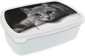 Broodtrommel Wit - Lunchbox - Brooddoos - Kat met grote pupillen van dichtbij - zwart wit - 18x12x6 cm - Volwassenen