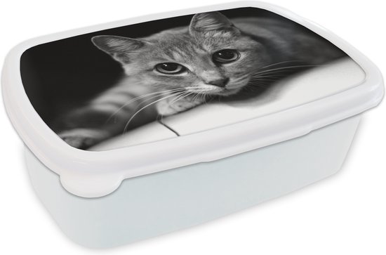 Boîte à pain Wit - Boîte à lunch - Boîte à lunch - Chat avec de grandes pupilles de près - noir et blanc - 18x12x6 cm - Adultes - Cadeau Sinterklaas - Distribution de cadeaux pour enfants - Chaussures cadeaux Sinterklaas