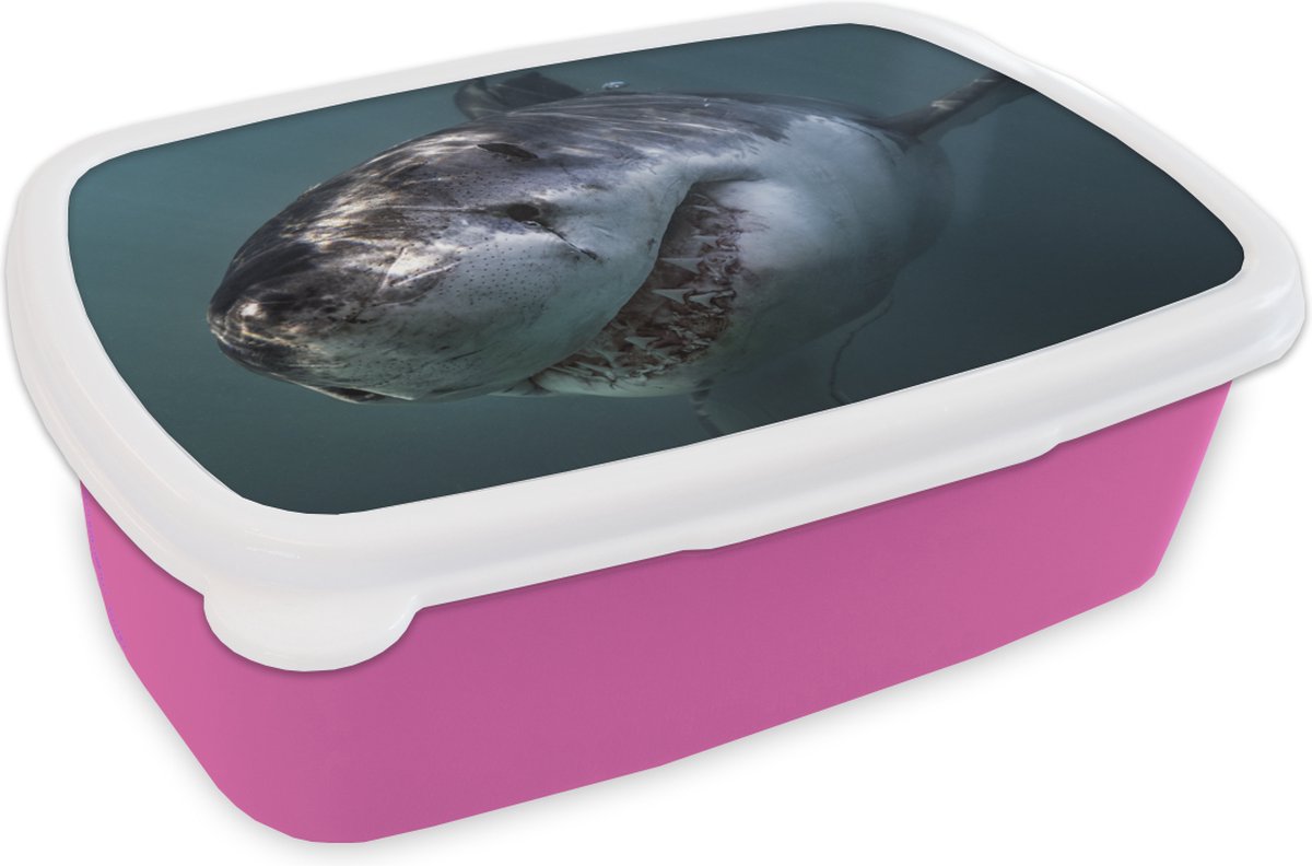 Broodtrommel Roze - Lunchbox - Brooddoos - Haai - Wit - Water - 18x12x6 cm - Kinderen - Meisje