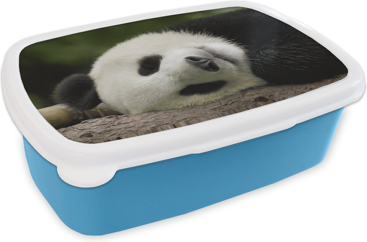 Broodtrommel Blauw - Lunchbox - Brooddoos - Panda - Beren - China - 18x12x6 cm - Kinderen - Jongen