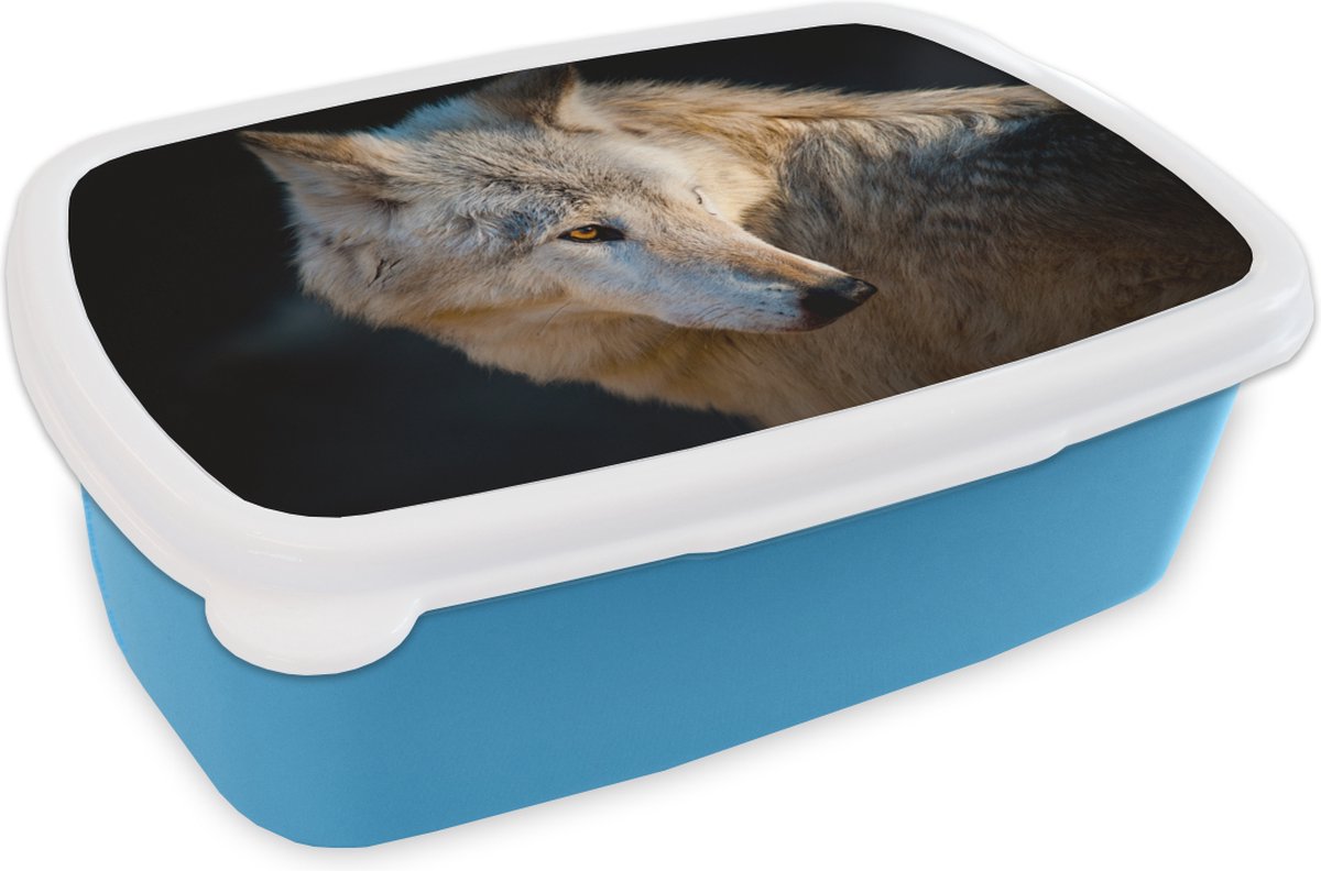 Broodtrommel Blauw - Lunchbox - Brooddoos - Lichte arctische wolf - 18x12x6 cm - Kinderen - Jongen