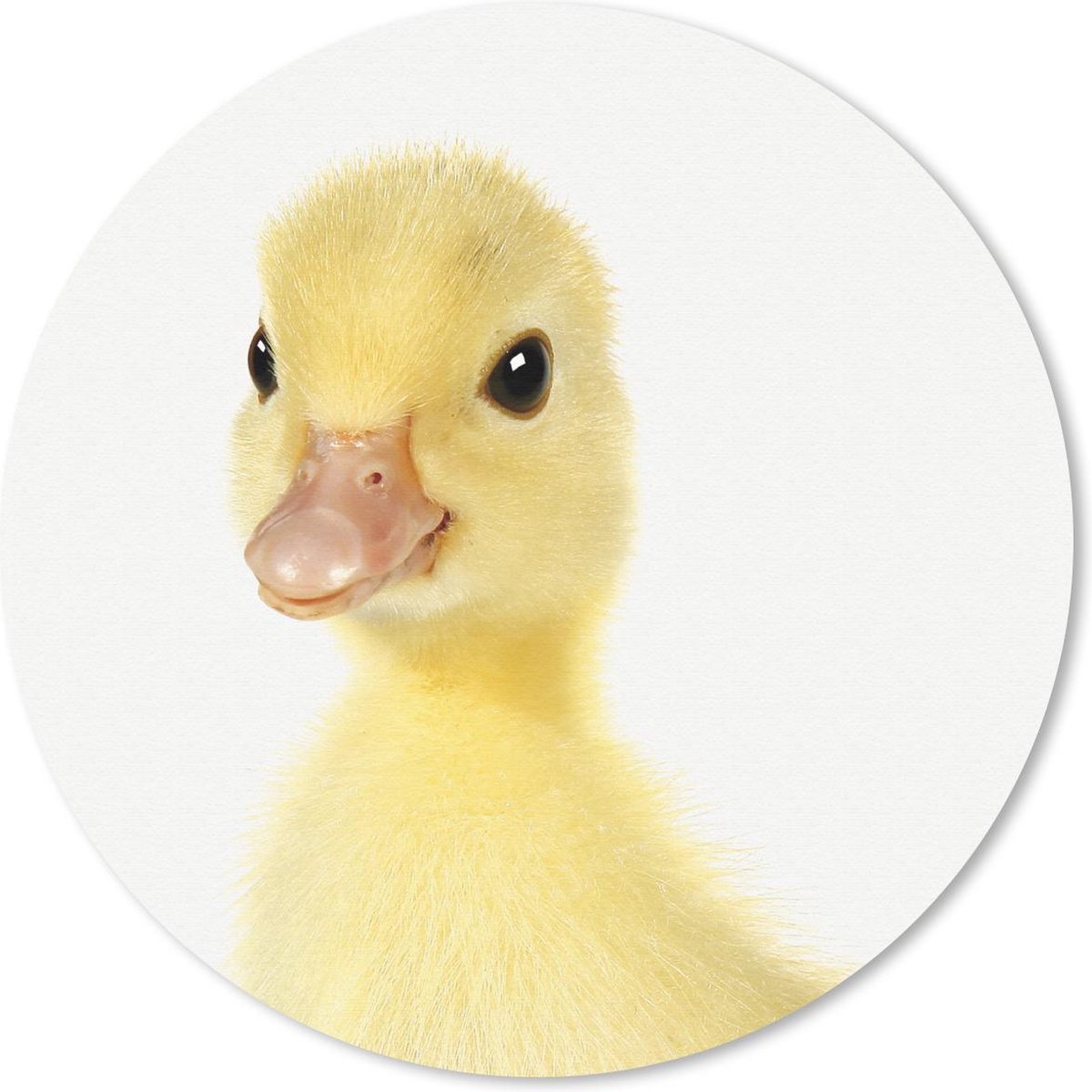 Muismat rond 50x50 cm - Mousepad Dieren - Eend - Geel - Ronde muismatten