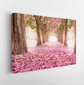 Canvas schilderij - The romantic tunnel of pink flower trees -     143204701 - 115*75 Horizontal