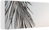 Canvas Schilderij Palmboom - Blad - Groen - 40x20 cm - Wanddecoratie