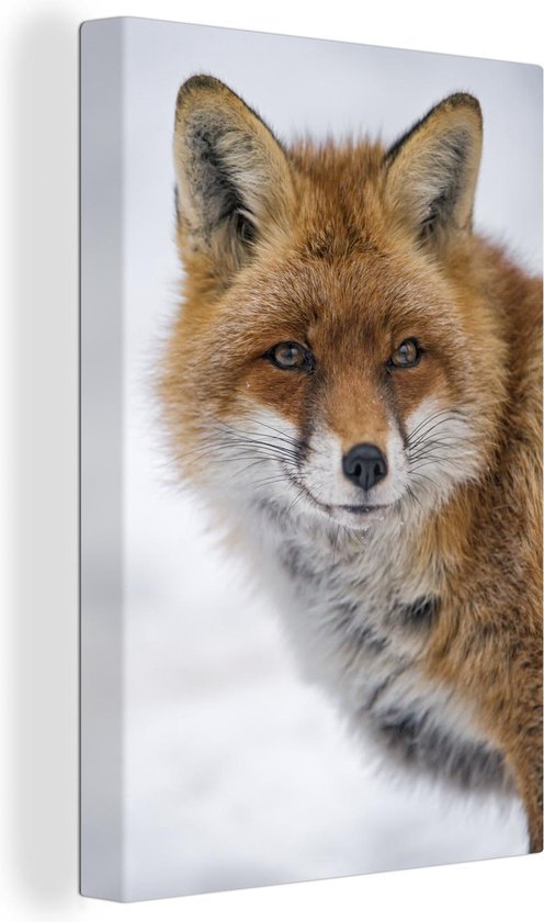Portrait d'un renard sur toile 40x60 cm - Tirage photo sur toile (Décoration murale salon / chambre) / Peintures sur toile Animaux