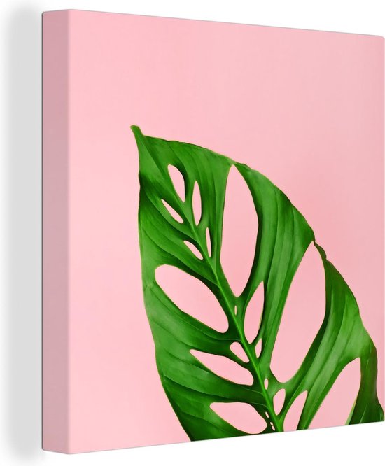 Botanisch blad met roze achtergrond Canvas 100x100 cm - Foto print op Canvas schilderij (Wanddecoratie)