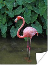 Een flamingo met planten achtergrond Poster 120x180 cm - Foto print op Poster (wanddecoratie) / Dieren Poster XXL / Groot formaat!