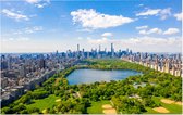 Groene strook van Central Park en de skyline van New York - Foto op Forex - 45 x 30 cm