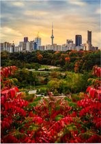 Zomers uitzicht op de skyline van Toronto met CN Tower - Foto op Forex - 30 x 40 cm