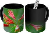 Magische Mok - Foto op Warmte Mok - Alstroemeria met bloemen bovenaan lange dunne stengel - 350 ML