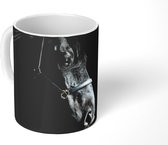 Mok - Paard - Zwart - Halster - 350 ML - Beker