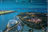 Luchtfoto van de supertrees in de tuinstad van Singapore - Foto op Tuinposter - 120 x 80 cm