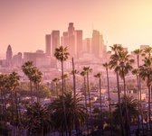 Palmbomen voor de prachtige skyline van Los Angeles - Fotobehang (in banen) - 450 x 260 cm