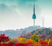 De Namsan Seoul Tower achter een herfstdecor in Korea - Fotobehang (in banen) - 450 x 260 cm