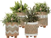 Kolibri Greens | Rhipsalis set van 4 planten in oranje Binti cementen sierpotten | potmaat Ø9cm