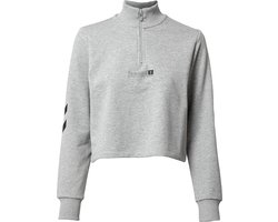 Hummel dames-shirt met lange mouwen Hmllgc Nikka Cropped Halfzip 212939