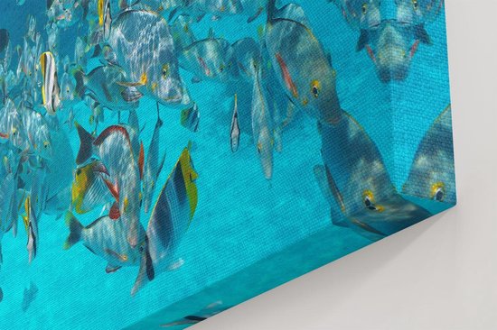 Artaza Peinture sur Toile Nuée de Pêche Jaunes dans l' Water - 30x20 - Klein - Tableau sur Toile - Impression sur Toile