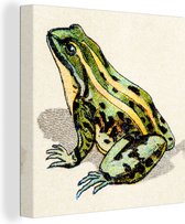 Illustration couleur réaliste d'une grenouille 20x20 cm - petit - Tirage photo sur toile (décoration murale salon / chambre)
