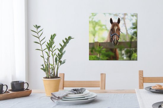 Tableau sur toile Cheval - Nature - Clôture - 50x50 cm - Décoration murale