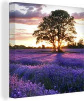 Schilderijen Canvas Bloemen - Lavendel - Paars - Boom - Zonsondergang - Foto op Canvas - Muurdecoratie - 20x20 cm