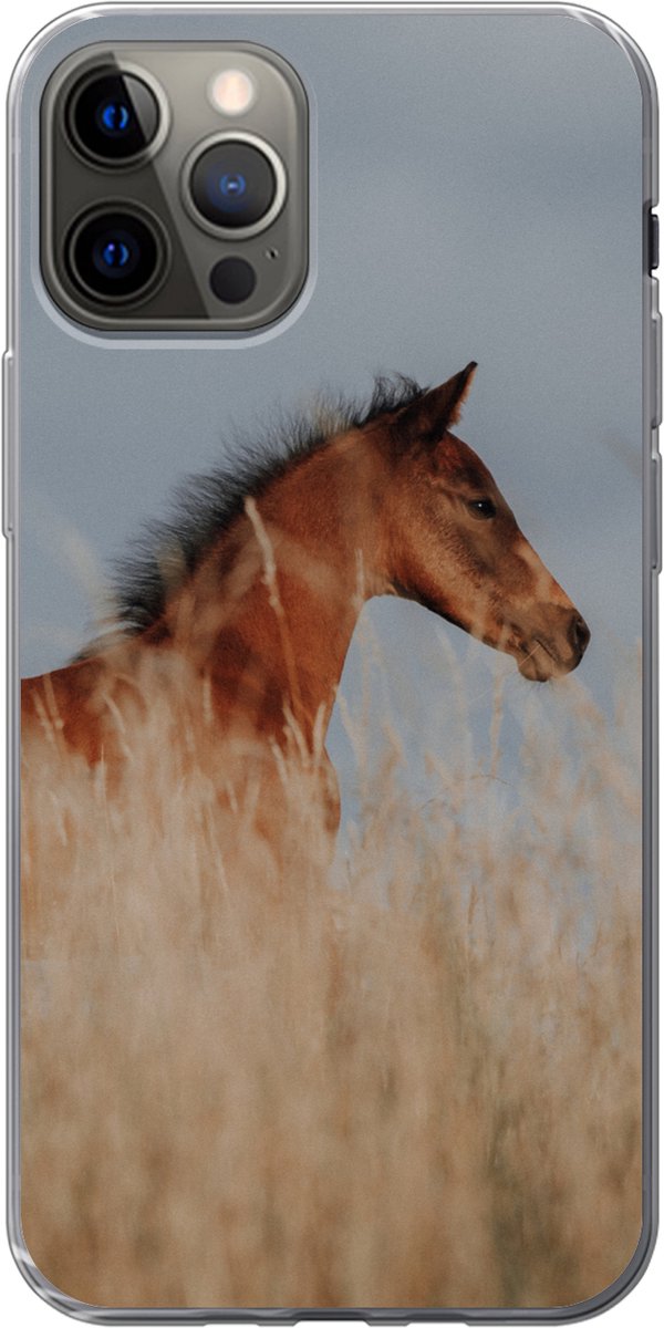 Telefoonhoesje Geschikt voor iPhone 12 Pro hoesje - Paard - Lucht - Gras - Siliconen Telefoonhoesje Telefoonhoesje
