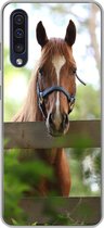 Geschikt voor Samsung Galaxy A50 hoesje - Paard - Natuur - Hek - Siliconen Telefoonhoesje