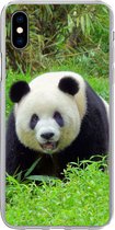 Geschikt voor iPhone Xs Max hoesje - Panda - Gras - Dier - Siliconen Telefoonhoesje