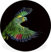 WallCircle - Wandcirkel - Muurcirkel - Close-up kleurrijke papegaai - Aluminium - Dibond - ⌀ 90 cm - Binnen en Buiten