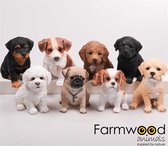 Farmwood Animals Tuinbeeld puppies polyresin 15 cm (1 stuk) assorti