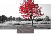 Trend24 - Canvas Schilderij - Rode Bladeren - Drieluik - Landschappen - 150x100x2 cm - Rood