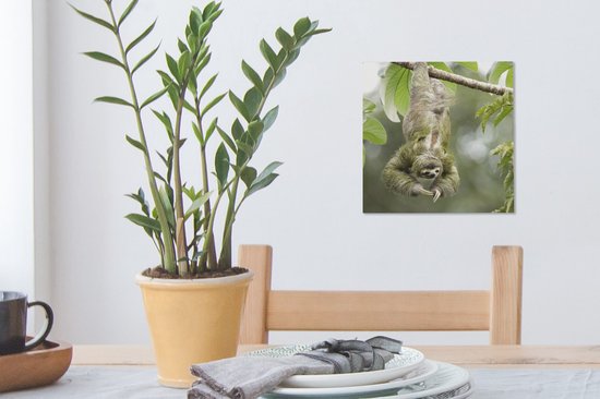 Peinture sur toile Un paresseux accroché dans les arbres à l'envers - 20x20 cm - Art Décoration murale