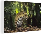 Canvas Schilderij Jaguar - Jungle - Natuur - 90x60 cm - Wanddecoratie