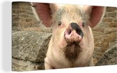 Toile Peinture Cochon - Rose - Animal - 80x40 cm - Décoration murale