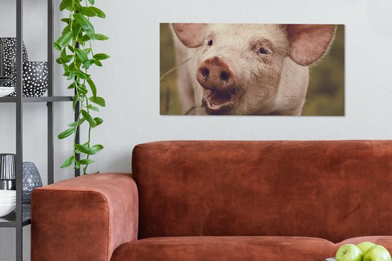 Toile Peinture Cochon - Portrait - Animal - 80x40 cm - Décoration murale