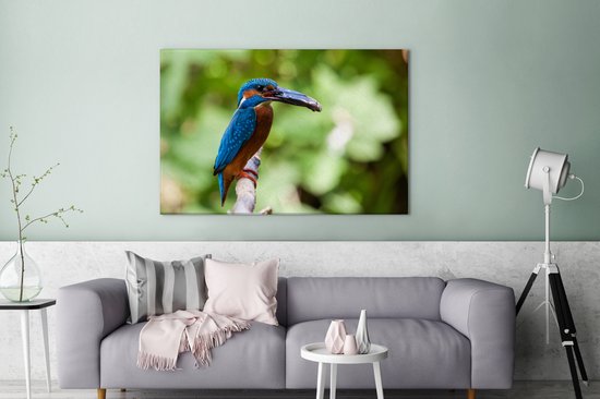 Tableau Tableau Martin-pêcheur - Poisson - Arbre - 120x80 cm - Décoration murale