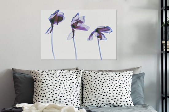 Tableau sur toile Trois Iris - 90x60 cm - Décoration murale