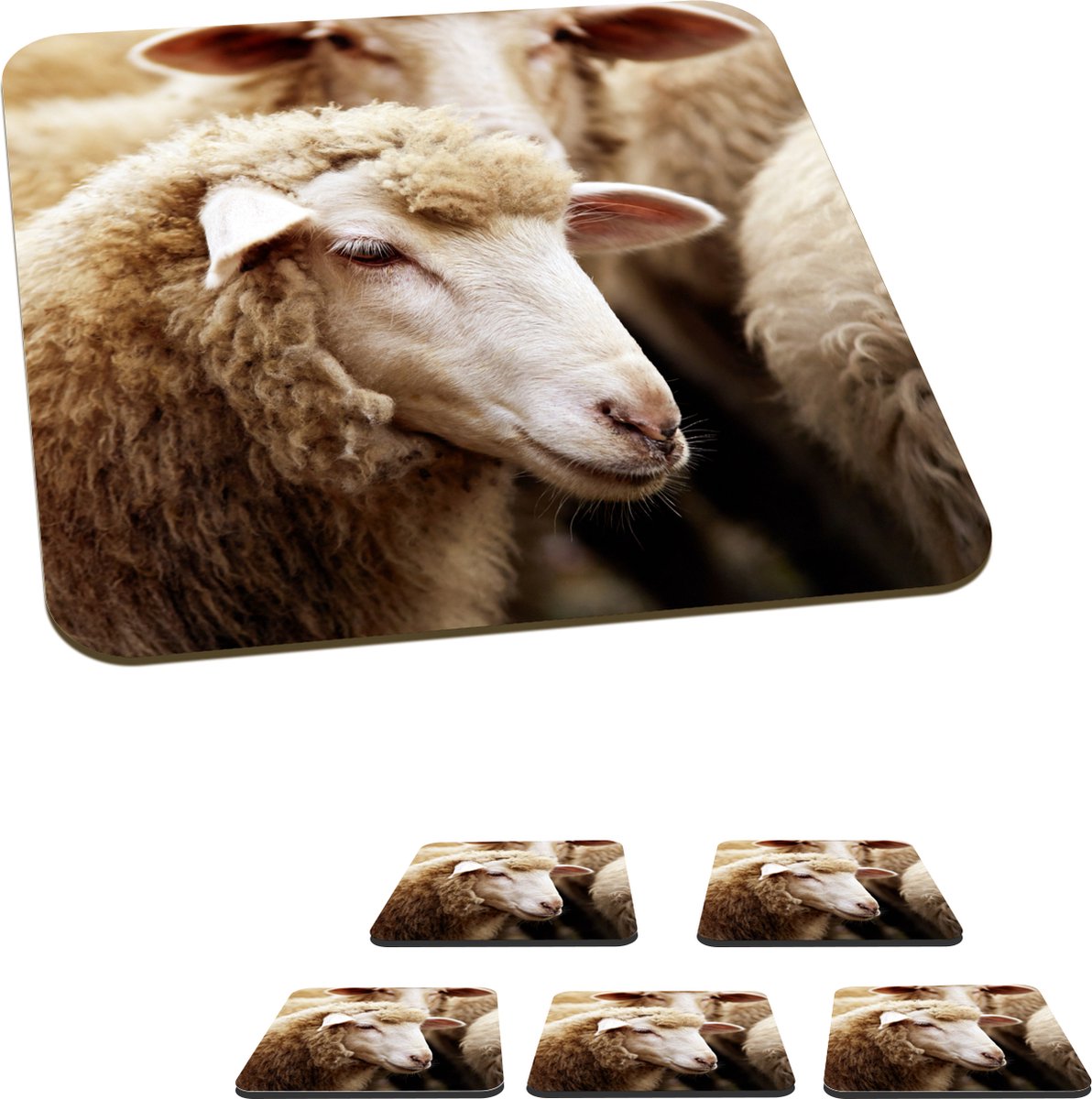 Onderzetters voor glazen - Schaap - Wol - Wit - 10x10 cm - Glasonderzetters - 6 stuks