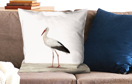 Animaux - Cigogne - Wit