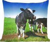Sierkussens - Kussentjes Woonkamer - 50x50 cm - Koe - Gras - Dieren